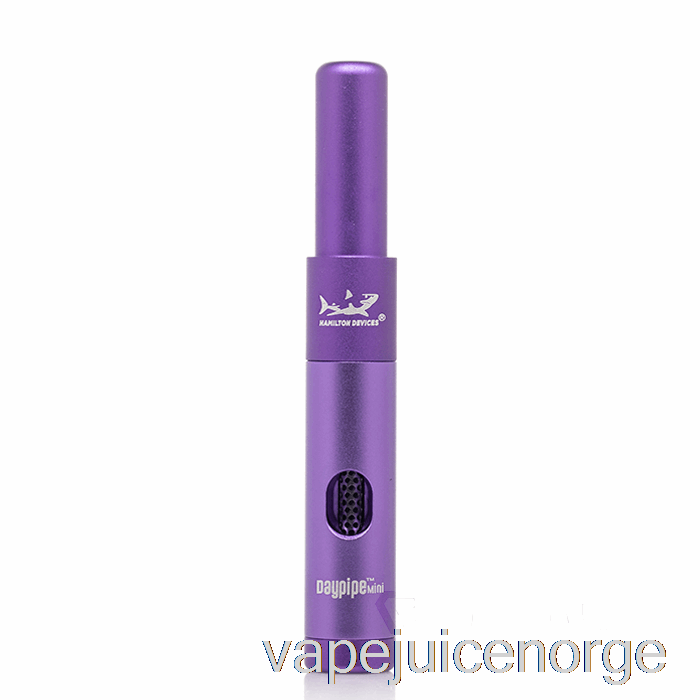 Vape Norge Hamilton Enheter Daypipe Mini Lilla